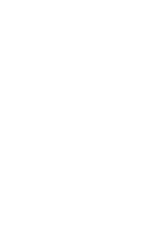 30th logo